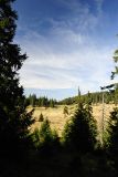 _dsc8879.jpg